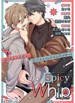 Spicy Whip vol.42(Spicy Whip)