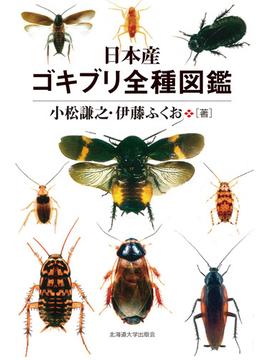 日本産ゴキブリ全種図鑑