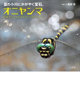 夏の小川にかがやく宝石、オニヤンマ　～日本でいちばん大きなトンボのくらし～（小学館の図鑑NEOの科学絵本）(小学館の図鑑NEO)