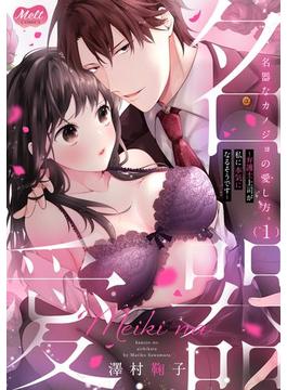 【全1-5セット】名器なカノジョの愛し方。 ～弁護士上司が私に本気になるそうです～【単行本】(メルト)