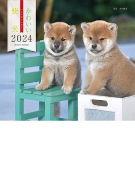 2024年カレンダー かわいい柴犬