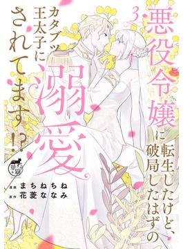 悪役令嬢に転生したけど、破局したはずのカタブツ王太子に溺愛されてます！？【電子限定特典付き】 (3)(バンブーコミックス　華猫)