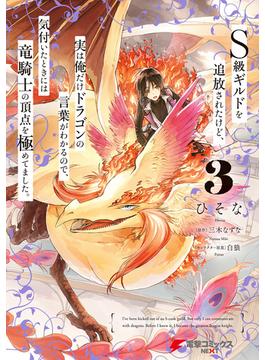 Ｓ級ギルドを追放されたけど、実は俺だけドラゴンの言葉がわかるので、気付いたときには竜騎士の頂点を極めてました。 3(電撃コミックスNEXT)
