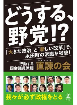 どうする、野党!?　「大きな政治」と「新しい改革」で、永田町の常識を喝破！(幻冬舎単行本)