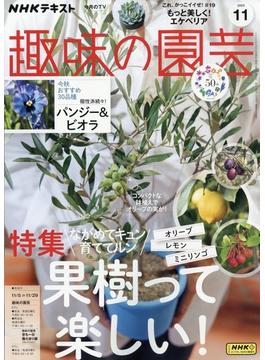 NHK 趣味の園芸 2023年 11月号 [雑誌]