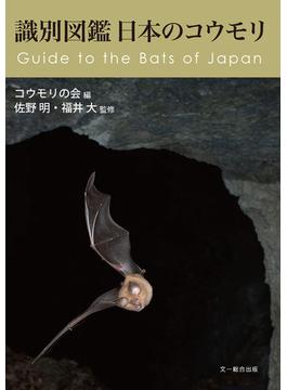 識別図鑑 日本のコウモリ