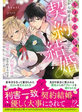 ちょうどいい、から始まる契約結婚～白騎士様の溺愛に溶かされそうです～【イラスト付き】【単行本書き下ろしSS付き】(Ruhuna)