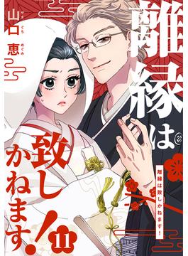 離縁は致しかねます！ 11巻(女の子のヒミツ)