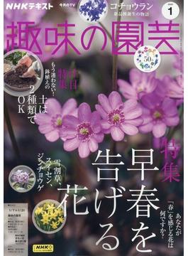 NHK 趣味の園芸 2024年 01月号 [雑誌]