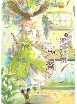 薬師少女と嵐鷲　3(BOOK☆WALKER セレクト)