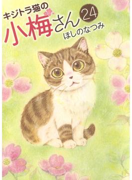 キジトラ猫の小梅さん ２４(ねこぱんちコミックス)