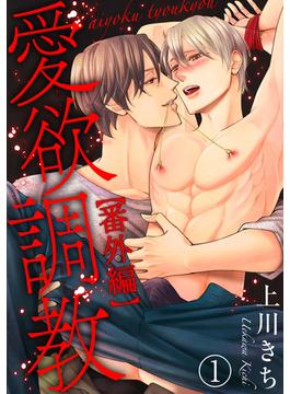 【26-30セット】愛欲調教(BL宣言)