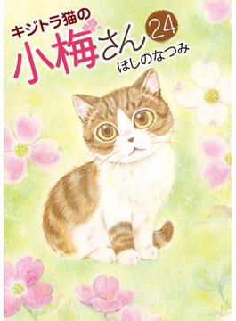 キジトラ猫の小梅さん (24)(ねこぱんちコミックス)