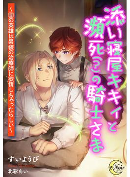 添い寝屋キキィと瀕死（？）の騎士さま　～国の英雄は男装の治療師に欲情しちゃったらしい～(e-ノワール)