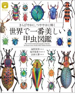 世界で一番美しい甲虫図鑑(ネイチャー・ミュージアム)