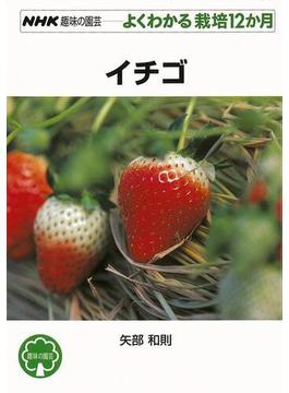【アウトレットブック】よくわかる栽培１２か月　イチゴ