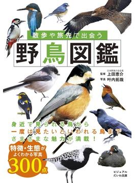 散歩や旅先で出会う野鳥図鑑(ビジュアルだいわ文庫)