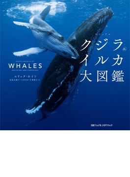 ビジュアル クジラ＆イルカ大図鑑