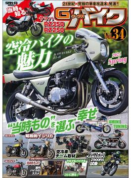 G-ワークス バイク Vol.34