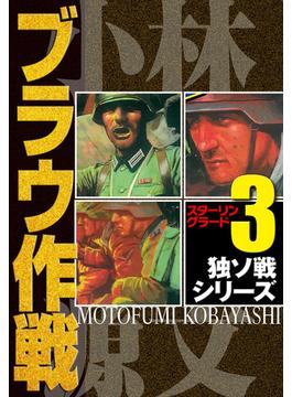 独ソ戦シリーズ（3）ブラウ作戦  スターリングラード(アルト出版)