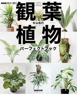 ＮＨＫ趣味の園芸　観葉植物　パーフェクトブック