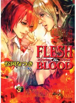 【セット限定価格】FLESH & BLOOD14(キャラ文庫)