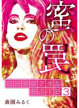 【セット限定価格】SEXファイル・蜜の罠 File３調教(GRAY COMICS)