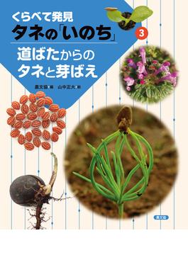 くらべて発見　タネの「いのち」　道ばたからのタネと芽ばえ