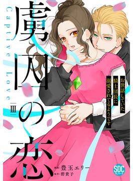 虜囚の恋～お世話していた騎士団長に溺愛されてるようです～【単行本版】III(素敵なロマンス)