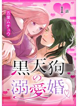 【全1-15セット】黒天狗の溺愛婚［ばら売り］(花とゆめコミックススペシャル)