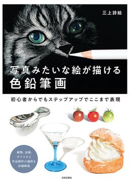 写真みたいな絵が描ける 色鉛筆画