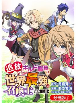 【全1-20セット】追放されたギルド職員は、世界最強の召喚士＠ＣＯＭＩＣ【分冊版】(マッグガーデンコミックス Beat'sシリーズ)