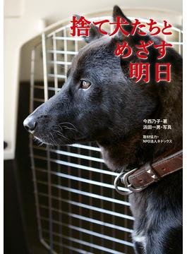 捨て犬たちとめざす明日