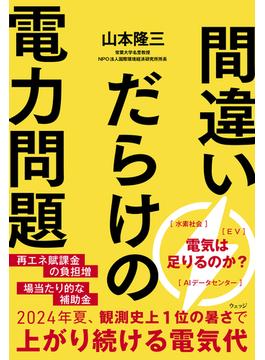間違いだらけの電力問題