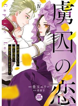 虜囚の恋～お世話していた騎士団長に溺愛されてるようです～【単行本版】IV(素敵なロマンス)