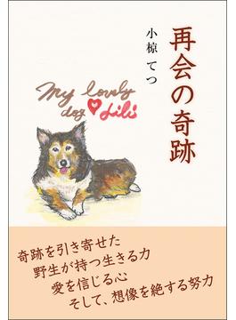 再会の奇跡