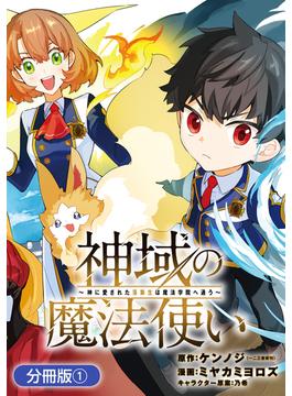 【全1-15セット】神域の魔法使い～神に愛された落第生は魔法学院へ通う～【分冊版】(マッグガーデンコミックス Beat'sシリーズ)