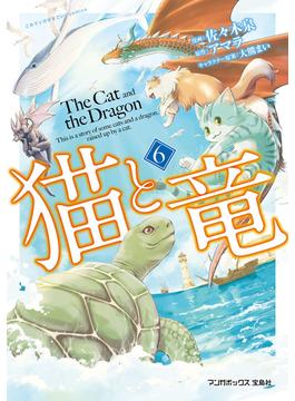 【6-10セット】猫と竜