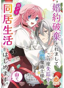 婚約破棄されまして、この度失踪中の最強魔術士様と訳アリ同居生活をはじめます。山で。【第3話】(エンジェライトコミックス)