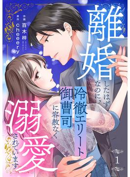 【1-5セット】離婚したはずなのに、冷徹エリート御曹司に容赦なく溺愛されています(チェリッシュ)