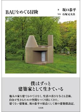 BAUをめぐる冒険