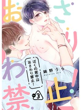 ぼくの背中はおさわり禁止！　３(drap)