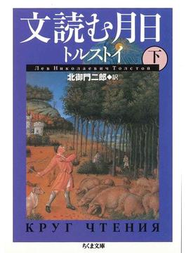 文読む月日（下）(ちくま文庫)