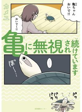 亀に無視され続けています