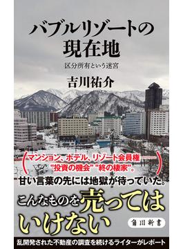 バブルリゾートの現在地　区分所有という迷宮(角川新書)