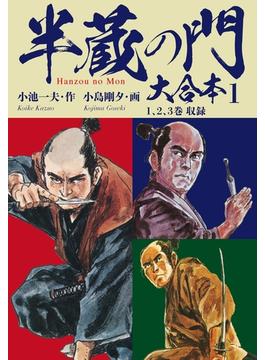 ≪期間限定 75%OFF≫【セット商品】半蔵の門　大合本　1-7巻セット