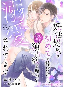 【1-5セット】妊活契約で初めてを捧げたら、強引社長の独占欲を煽って溺愛されてます【分冊版】(マーマレードコミックス)