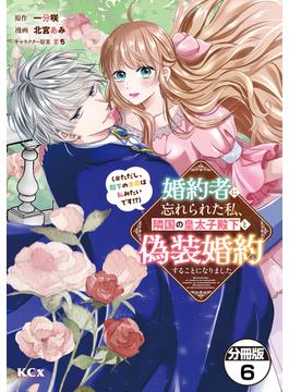 婚約者に忘れられた私、隣国の皇太子殿下と偽装婚約することになりました（※ただし、殿下の本命は私みたいです！？）　分冊版（６）