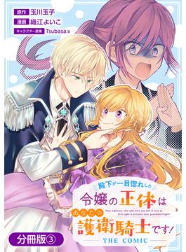 殿下が一目惚れした令嬢の正体はあなたの護衛騎士です！ THE COMIC【分冊版】 3巻(アヴァルスコミックス)