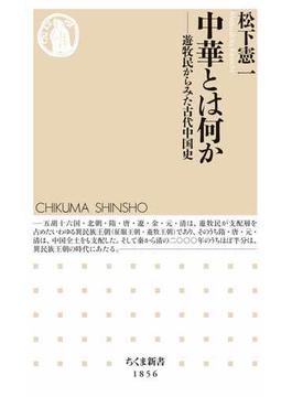 中華とは何か　――遊牧民からみた古代中国史(ちくま新書)